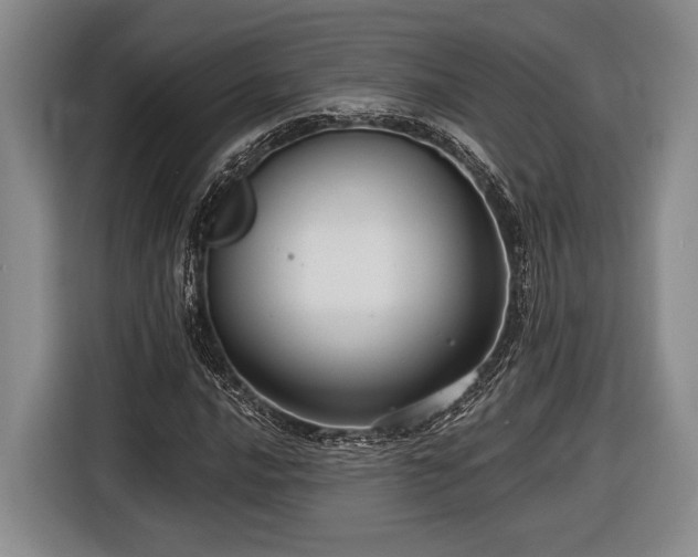 X0000116611016200912181202