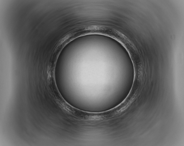 X0000116611017200912181202