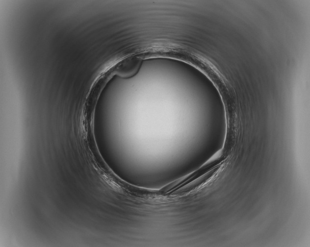 X0000116611018200912181202