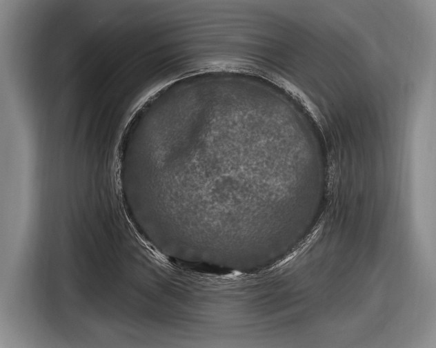 X0000116611019200912181202