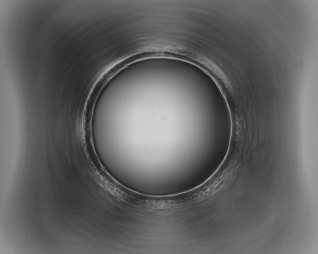 X0000116611020200912181202