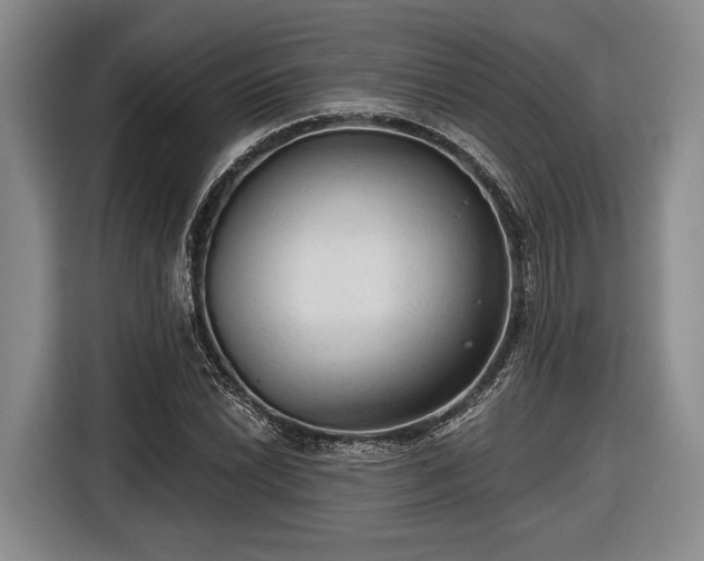 X0000116611022200912181202