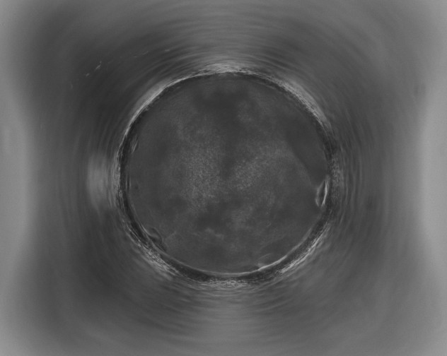 X0000116611023200912181202