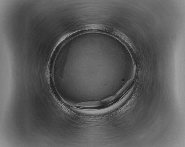 X0000116611024200912181202