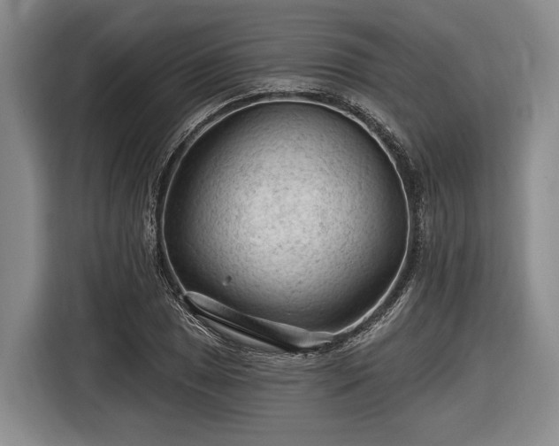 X0000116611025200912181202