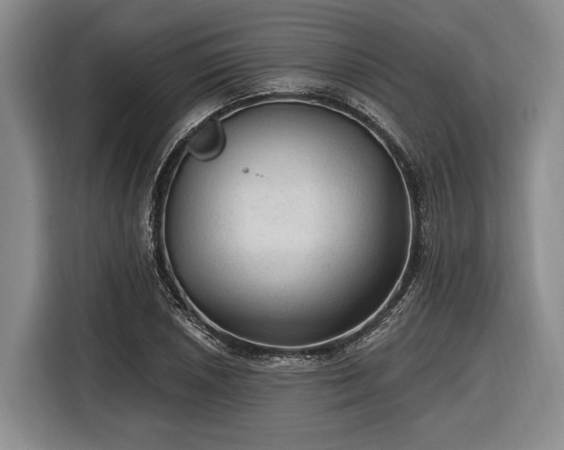 X0000116611026200912181202