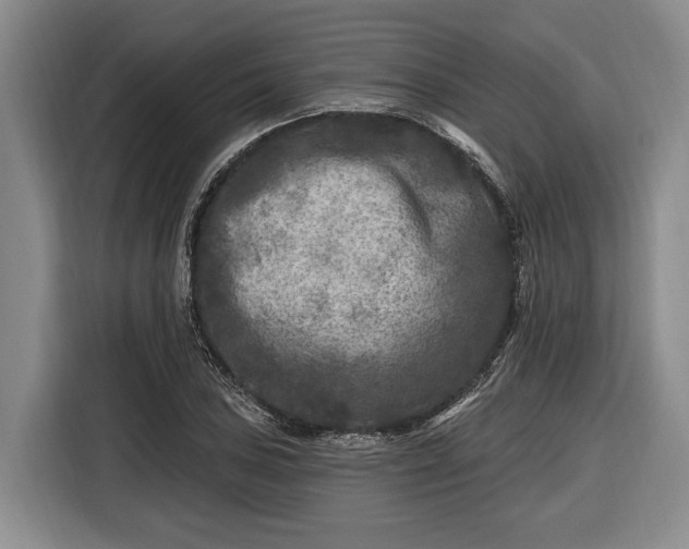 X0000116611027200912181202