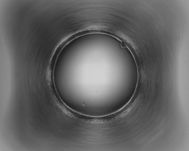 X0000116611029200912181202