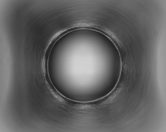 X0000116611030200912181202