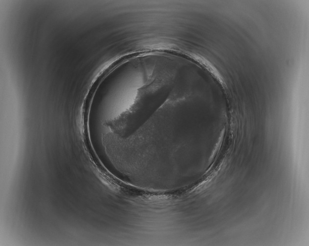 X0000116611031200912181202