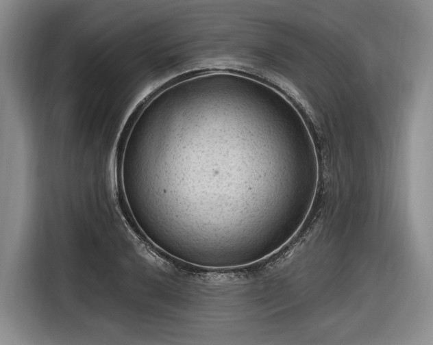 X0000116611032200912181202