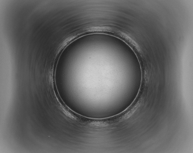 X0000116611033200912181202