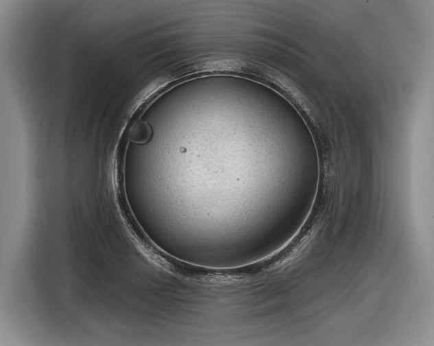 X0000116611034200912181202