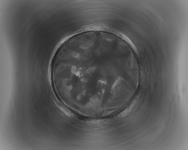 X0000116611035200912181202