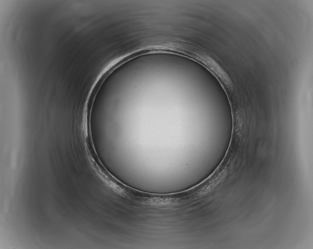 X0000116611036200912181202