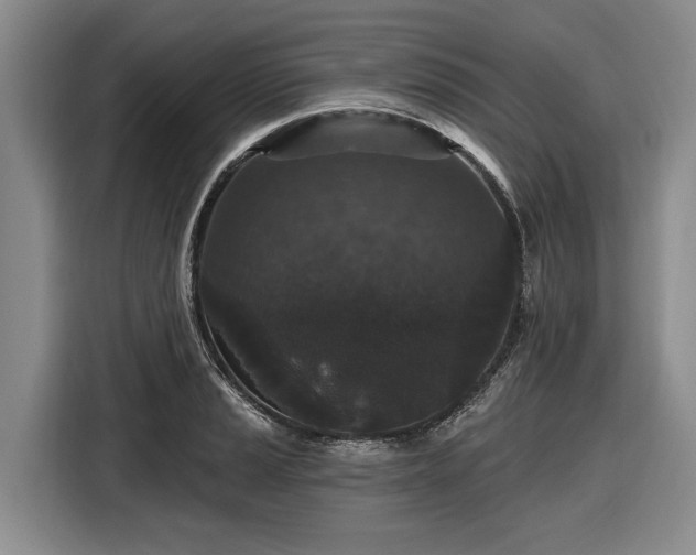 X0000116611037200912181202