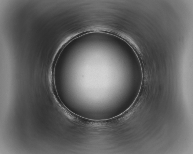 X0000116611040200912181202