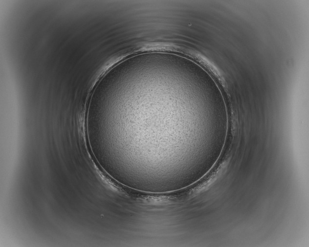 X0000116611041200912181202