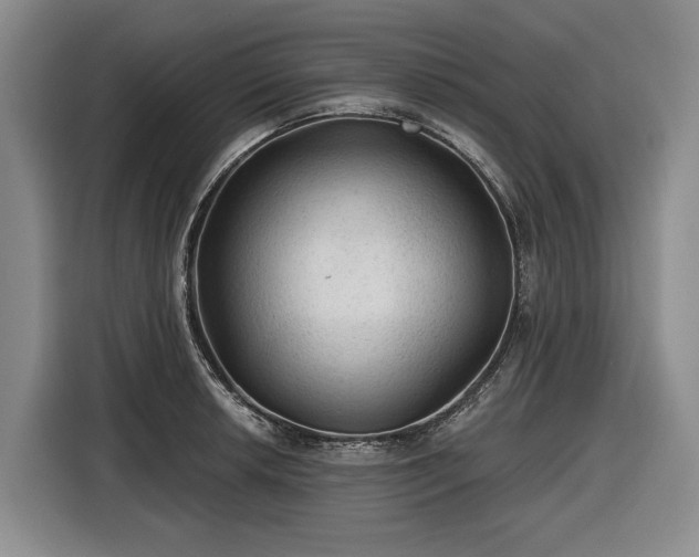 X0000116611042200912181202