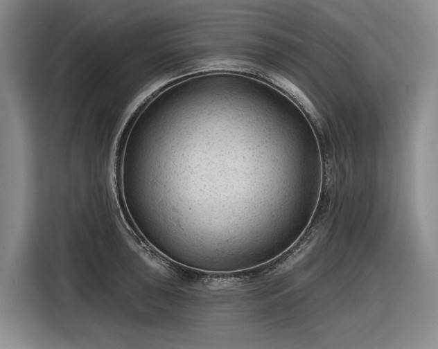 X0000116611043200912181202