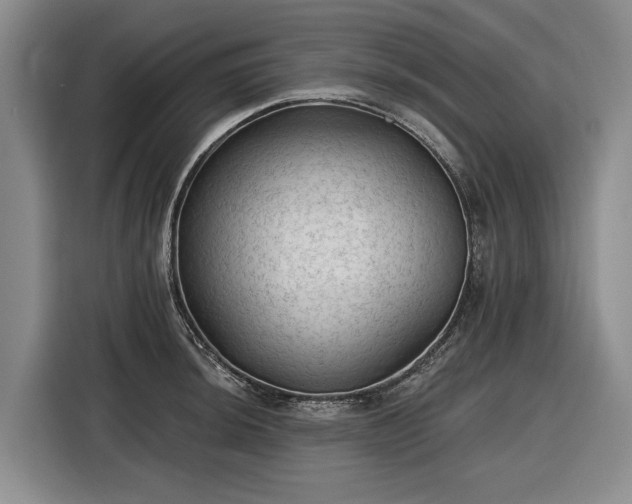 X0000116611044200912181202