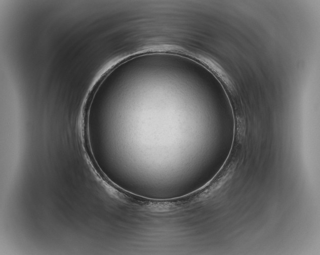 X0000116611046200912181202