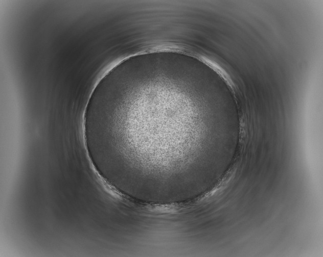 X0000116611047200912181202