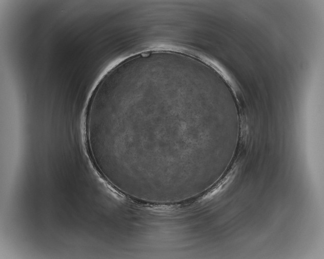 X0000116611048200912181202