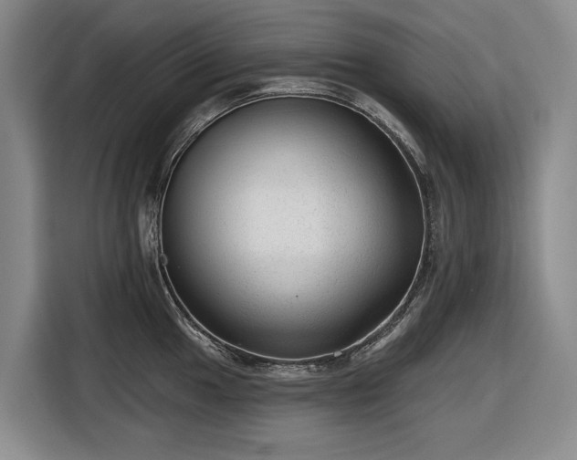 X0000116611049200912181202