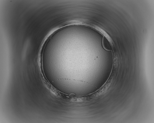 X0000116611051200912181202