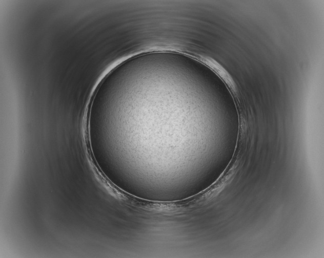 X0000116611052200912181202