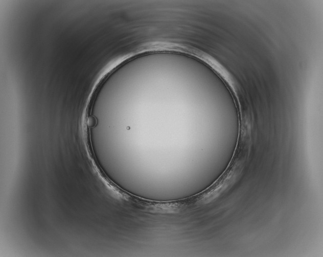 X0000116611053200912181202