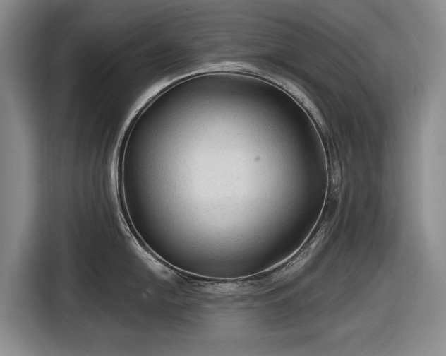 X0000116611054200912181202