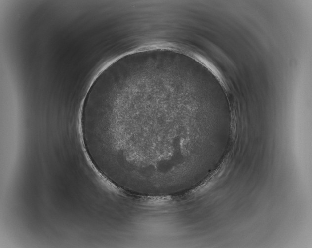 X0000116611055200912181202