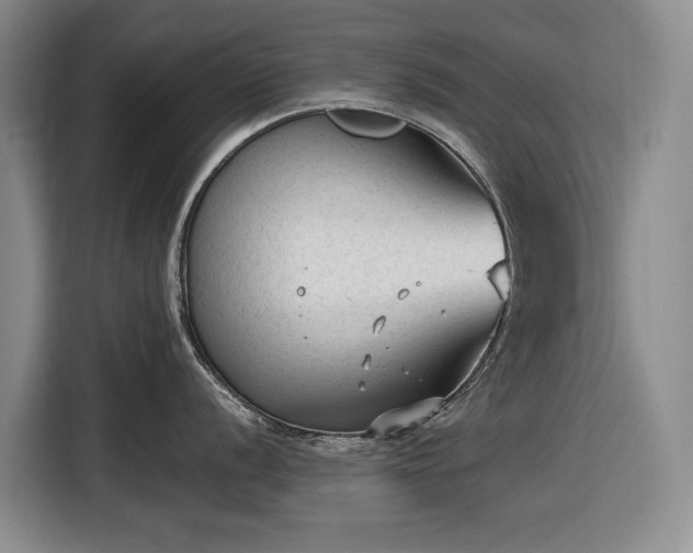 X0000116611056200912181202