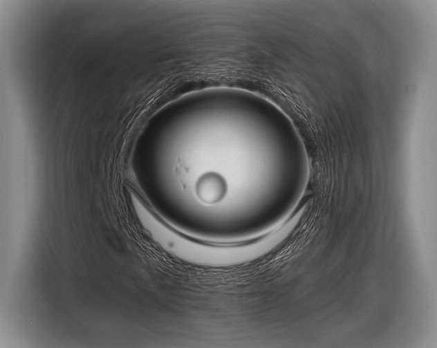 X0000116611057200912181202