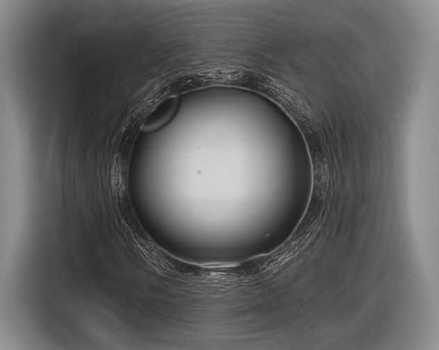 X0000116611058200912181202