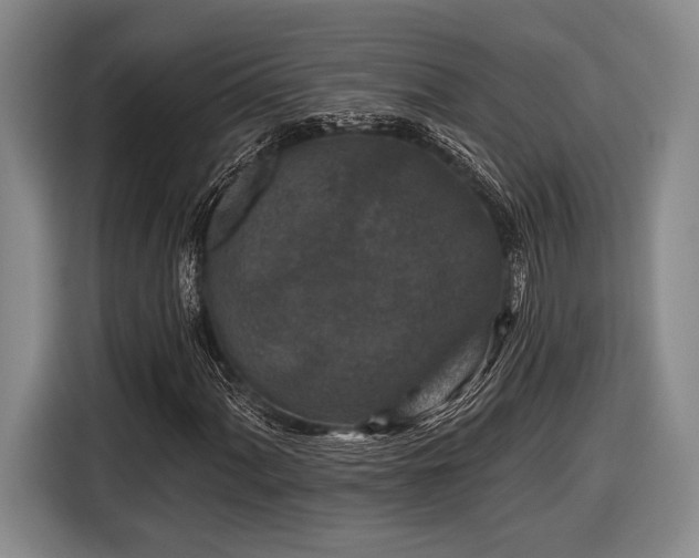 X0000116611060200912181202