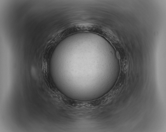 X0000116611061200912181202