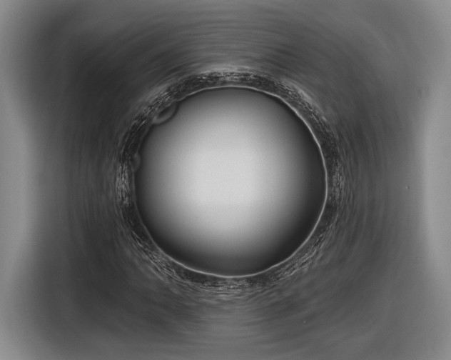 X0000116611062200912181202