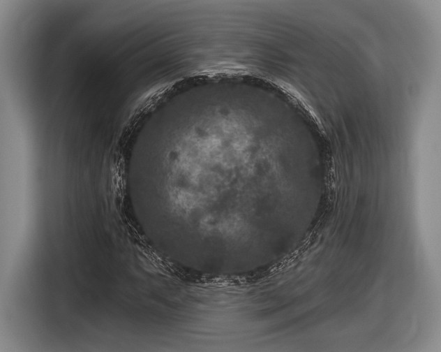 X0000116611063200912181202