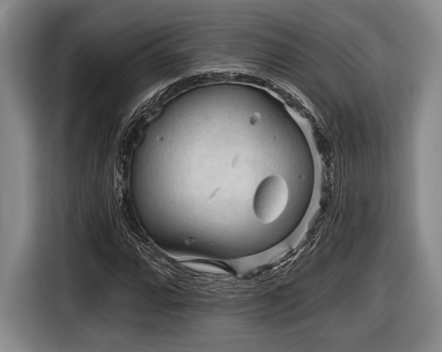 X0000116611064200912181202