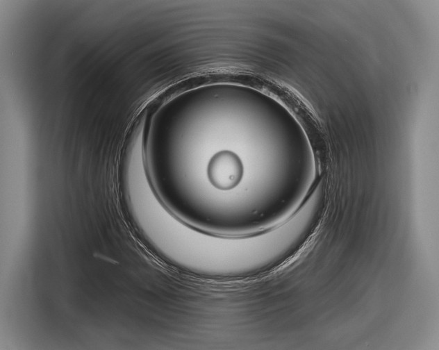 X0000116611065200912181202