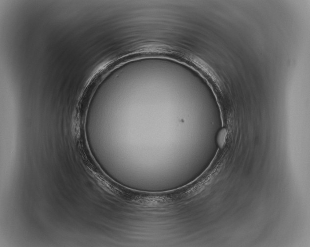 X0000116611067200912181202