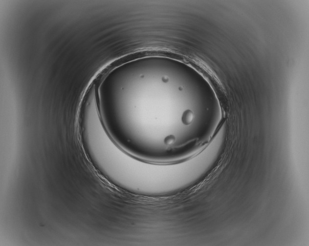 X0000116611068200912181202