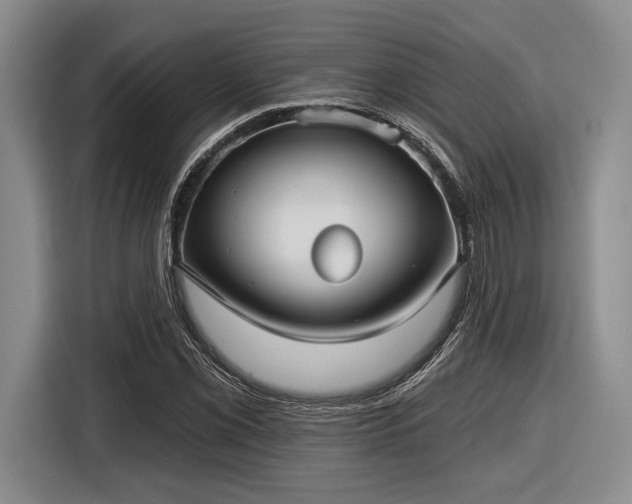 X0000116611069200912181202