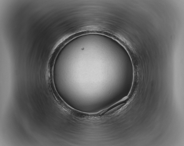 X0000116611070200912181202