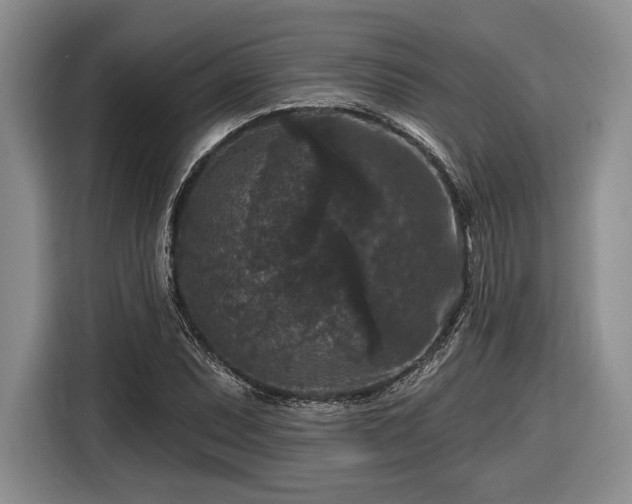 X0000116611071200912181202