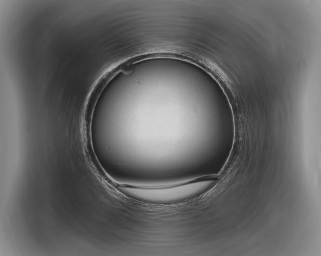 X0000116611072200912181201