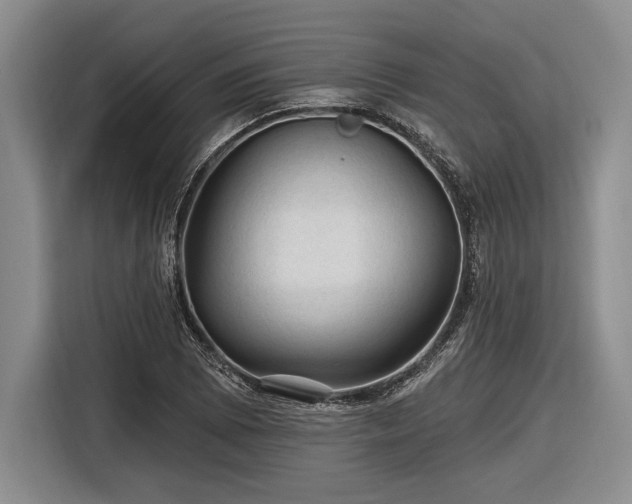 X0000116611073200912181201